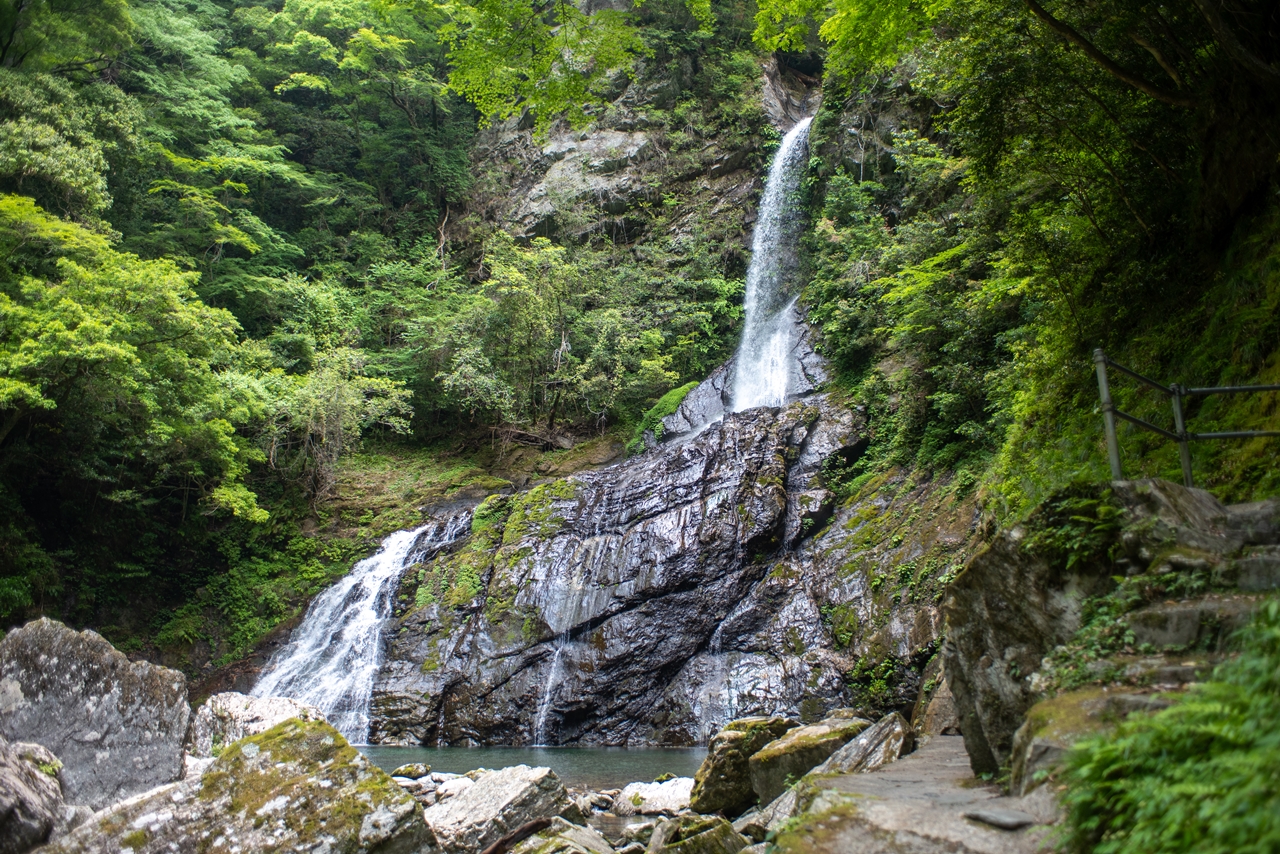 【安居渓谷】日本一綺麗な川が流れるレベチ渓谷がほんとにヤバかった。