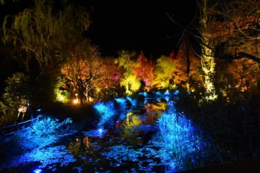 光のフェスタinモネの庭2020/ライトアップイベント。